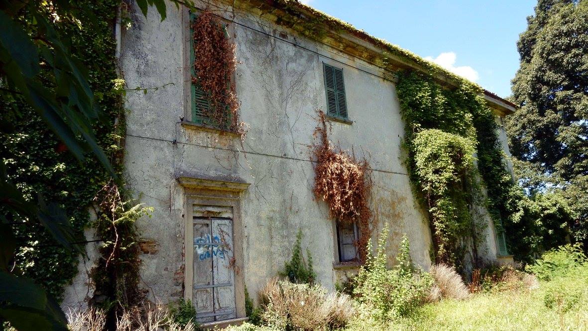 VILLA ARBUSTA