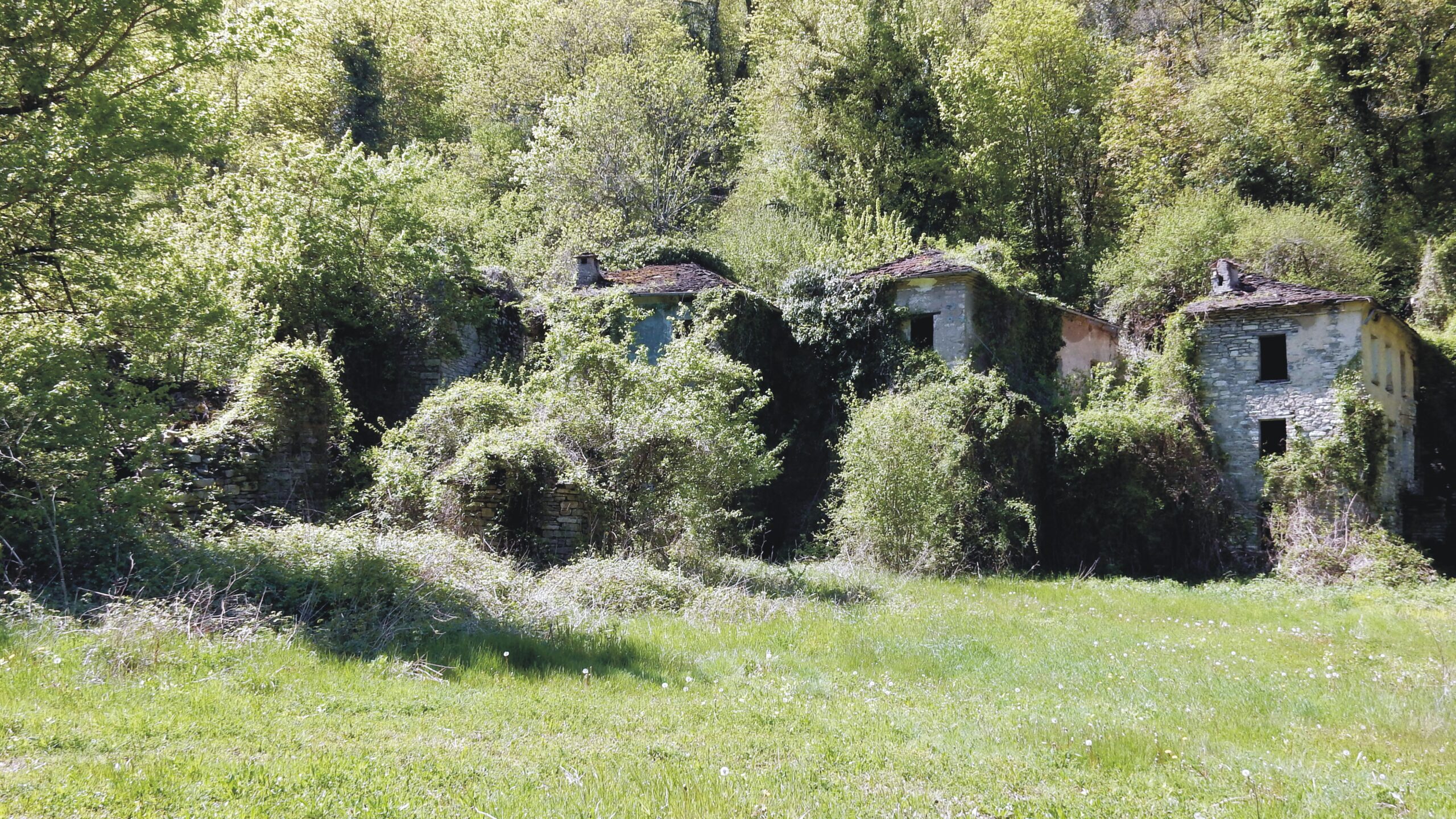CASE SCAPINI: IL VILLAGGIO DEI BAMBINI CHE PIANGONO